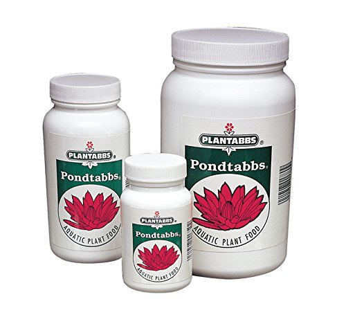 PondTabbs Aquatic Plant Food | 1000 ct