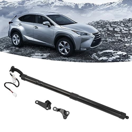 Support de lifting du tronc de hayon puissant robuste NX 200t - 4