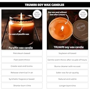 Palo Santo Candle for Home - Highly Scented with Citrine Crystals - 5oz Soy Wax Organic Non Toxic for Aromatherapy Relaxation Meditation - Room Decor for Men - New House Essentials - Pet Safe Candel Palo Santo Candle for Home Highly Scented with Citrine Crystals 5oz Soy Wax Organic Non Toxic for Aromatherapy Relaxation Meditation Room Decor for Men New House Essentials Pet Safe Candel