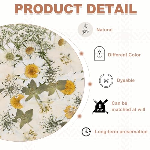 PATIKIL 36 Piezas Flores Secas Prensadas para Manualidades miniatura 3