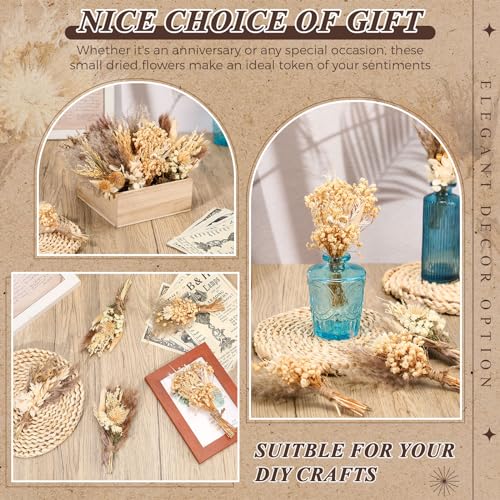 Layhit 24 Pcs Boho Dried Flower Bouquet Mini Wedding Handmade Dry Flowers Decor for Vase Crafts DIY Photo Boutonniere for Men Floral Plant Flower for Bridesmaid Gift Birthday Decor(Stylish Style)