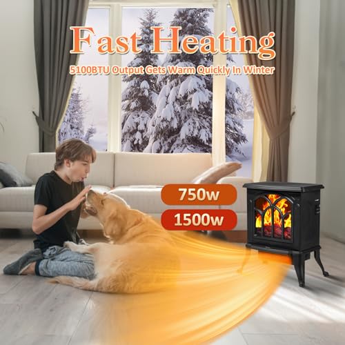 LifePlus Fireplace Heater, Electric Fireplace Stove