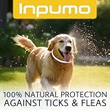 Inpumo B0FVXGG11C lato 4