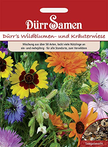 Dürr Samen 4321-DS Wildblumen- und Kräuterwiese 350-400m² (Blumenwiese)