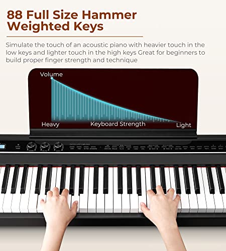 Vangoa VDP-S200 Clavier de Piano 88 Touches Pondéré Électrique Piano Portatif Numérique Clavier avec Pupitre de… - Les Beatles, Paul McCartney, John Lennon, RIngo Starr, George Harrison Vangoa VDP-S200 Clavier de Piano 88 Touches Pondéré Électrique Piano Portatif Numérique Clavier avec Pupitre de… – Image 3