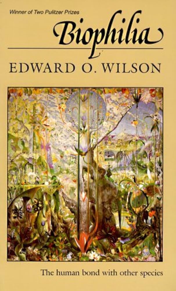 1890年 ヴィクトリアン絵本 book ideal heads b fBI8 1890年 ヴィクトリアン絵本 book ideal heads b fBI8 1890年