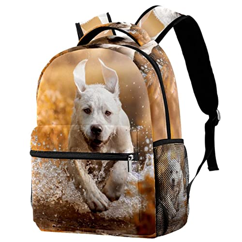 Mochilas ligeras de labrador para evitar dolor de espalda