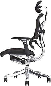 Amazon.co.jp: 【旧型】 エルゴヒューマン プロ オフィスチェア