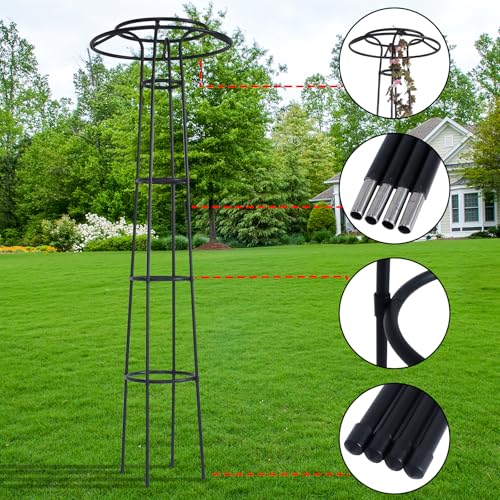 Structure de soutien pour plantes grimpantes tuteur robuste anti vent - 4