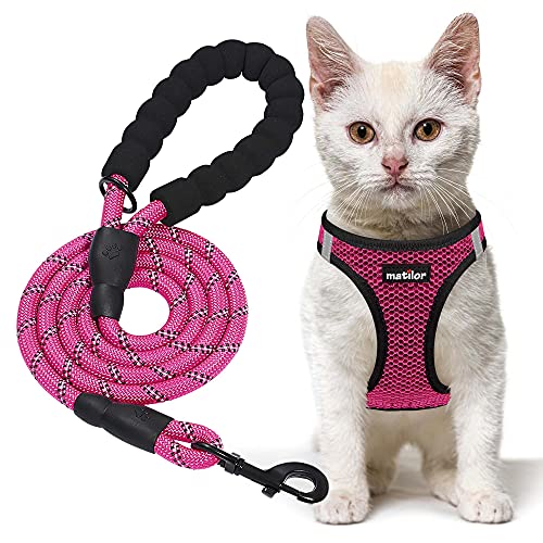 Mandcdoodlesofmaryland's Amazon Page