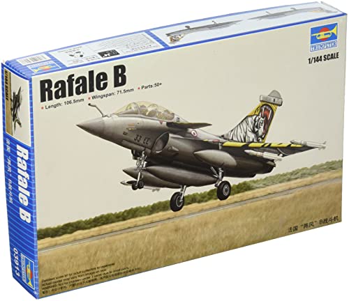 Maquette Avion : Dassault Rafale B