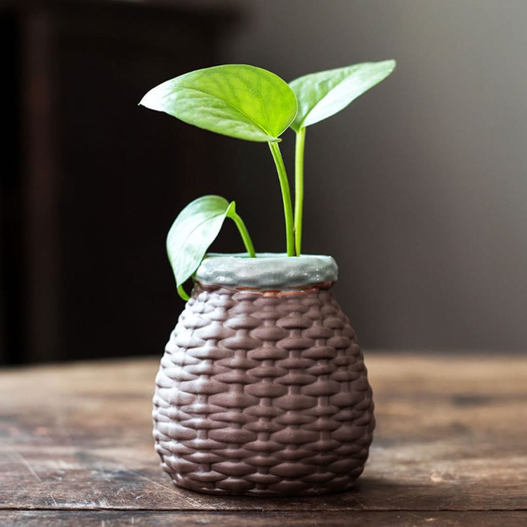 Sadzarki Ceramiczny garnek kwiatowy bonsai kwiatowy garnek do salonu pulpit kwiatowy garnek krajobrazowy Donice (Color : C)