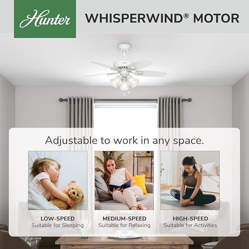 Image of Hunter Builder, Indoor, Ceiling Fan, with LED Lights, 42 inch, Snow White