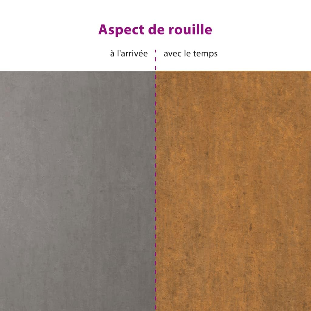 vidaXL Jardinières avec Pieds 2 pcs, Bacs à Fleurs, Pots de Plantes, Lits Surélevé, Décorations de Jardin Terrasse Patio Balcon, Rouillé Acier Corten