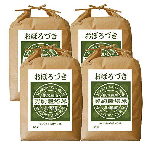 おぼろづき 白米 20kg (5kg×4袋) 【令和6年度産】【五つ星 お米 マイスター の 新米 北海道産】