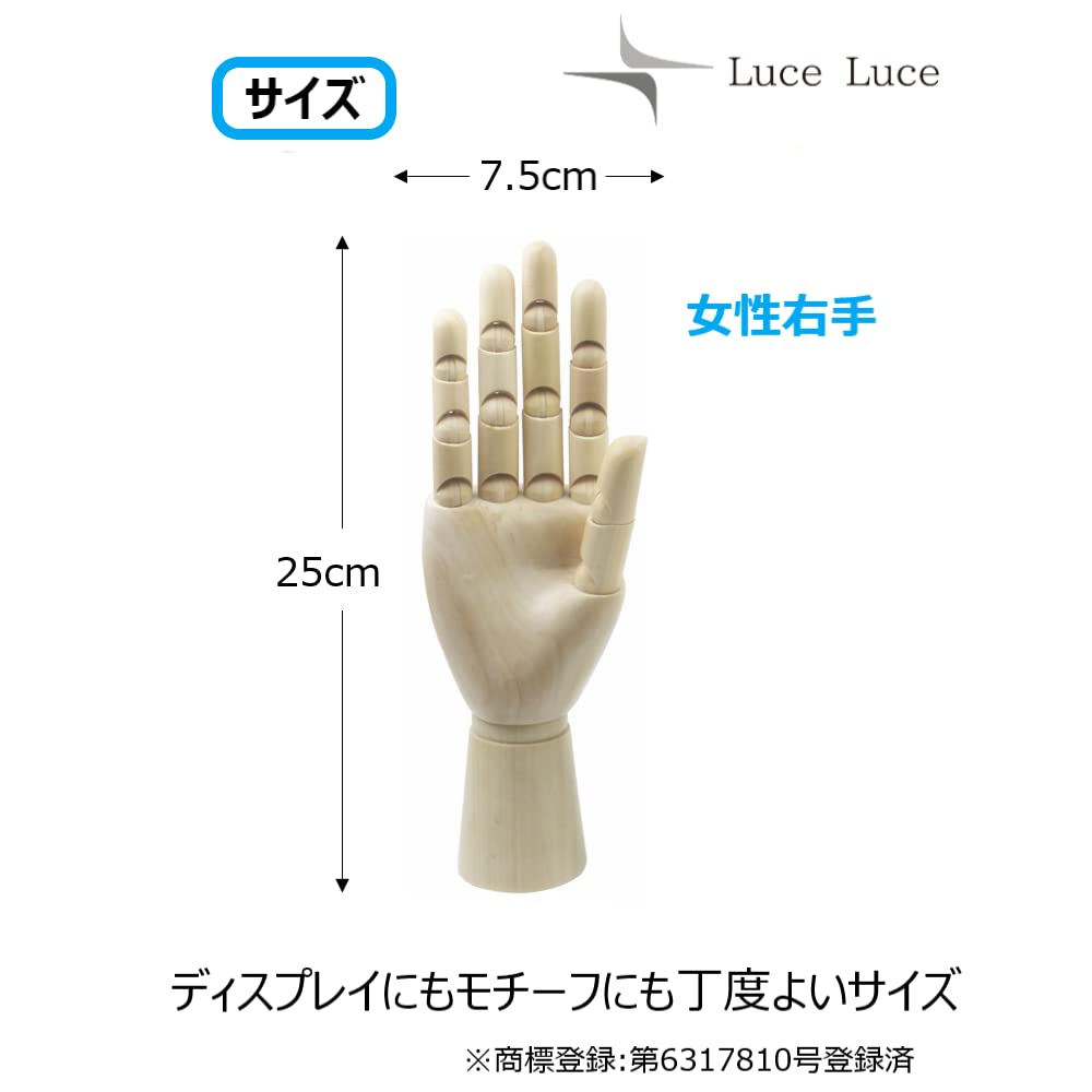 Amazon.co.jp: LuceLuce ハンド マネキン ハンドモデル デッサン 人形