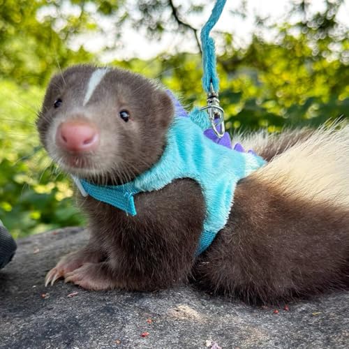 Image of Bearded Dragon Harness and Leash Set - Soft Fleece Dinosaur Vest with Safe Bell Adjustable Lizard Traction Rope Escape Proof Outdoor Walking Training Leash for Ferret Rat Kitten Puppy (Blue)