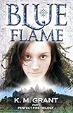  Blue Flame: Book 1 (Perfect Fire Trilogy, Band 1)