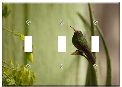 Switch Plate Triple Toggle - Birds Fauna Nature Armenia Quindio Colombia 1