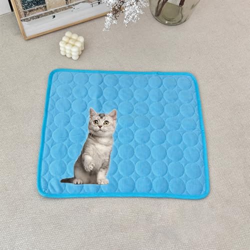 ���p�x�b�h�N�b�V���� �\�t�g���b�V�����n �􂦂� �h�� ����~�� �������O�p �u���[ 28"×22"