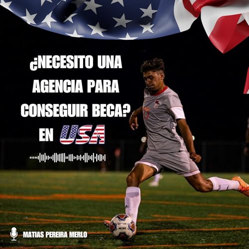 &iquest;Necesito una agencia para conseguir beca? copertina