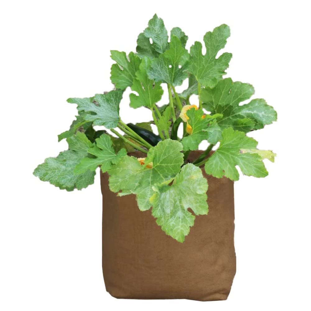 Haxnicks Maceta de cáñamo | 40L | HEMP040101, marrón