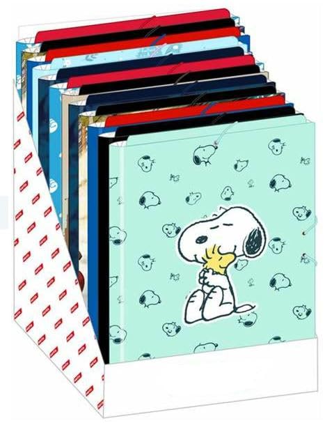 SAFTA - Espositore per cartella a fogli di gomma, 12 pezzi, resistente, leggero, durevole, multicolore, multicolore, Estándar, Casual