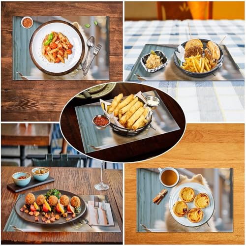 Set de table Poméranie lavable antidérapant résistant en PVC cuisine