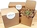 Bliss Gardens Succulent Terrarium with Moss and River Rocks / 4