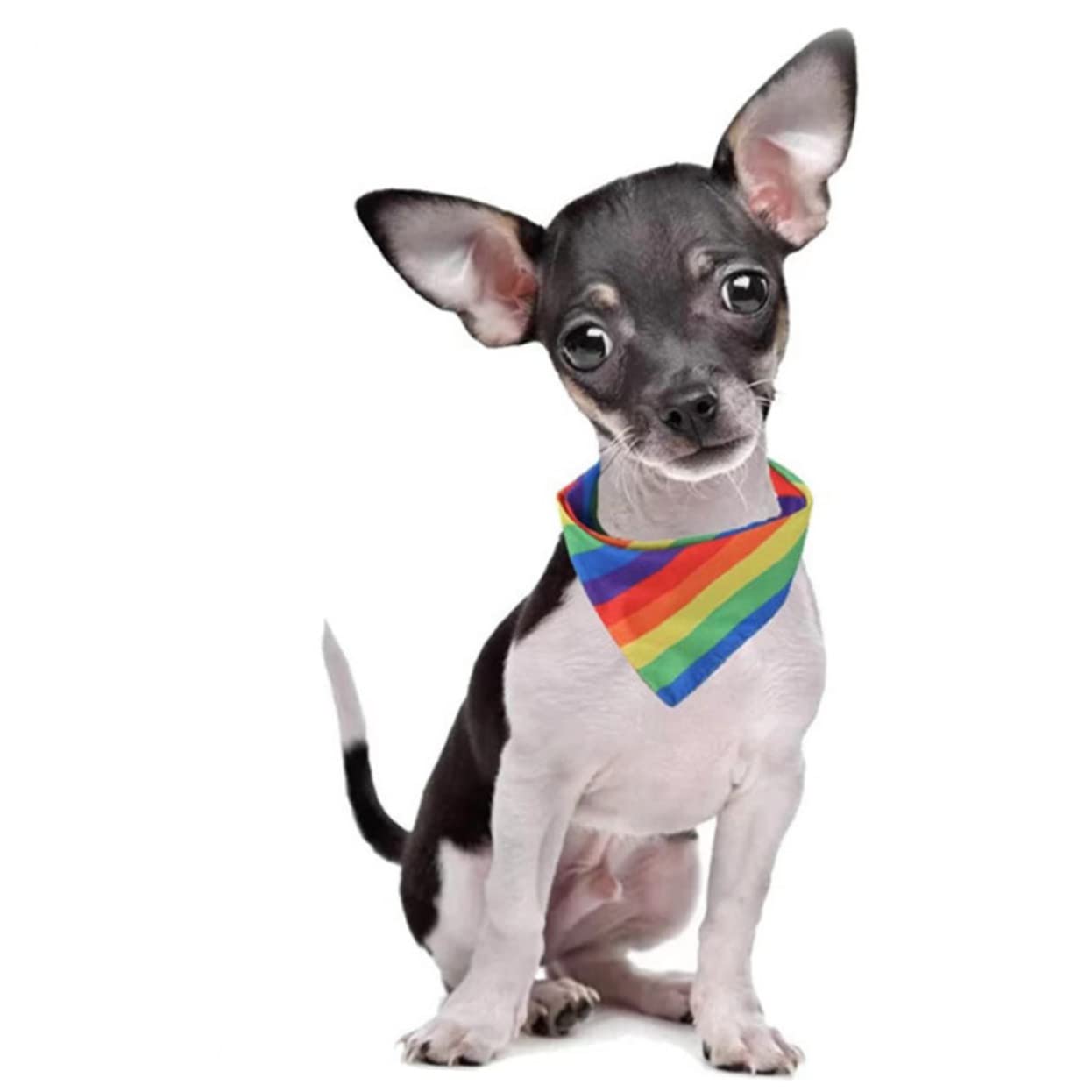 Regenbogen Haustier-Kostüm Set – Mit Stirnband, Schal & Tutu-Rock Für Hunde, Bunt & Lustig