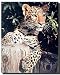 Leopard (Panther, Jaguar, Big Cat) Wild Animal Wall Decor Art Print Poster (16x20)
