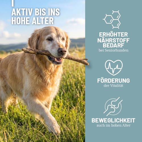 ReaVET Senior Complete Pulver für ältere Hunde, Seniorenhunde – zur Unterstützung von Gedächtnis- & Herzfunktion, mit Grünlippmuschel & Taurin für Beweglichkeit & Vitalität im Alter I 250g