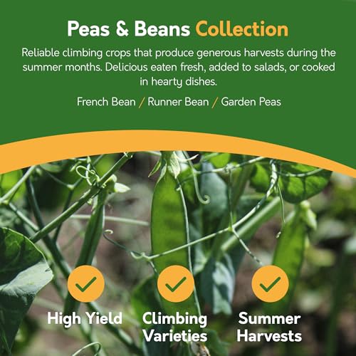 Pronto Seed Bumper Pack Grow Your Own Kit Vegetable & Herb Seed Collection - 21 Varieties with Salad Mix, Spicy Mix, Peas & Beans - 1700+ Seeds with Growing Guide - for Him and Her (Vegetable Pack)