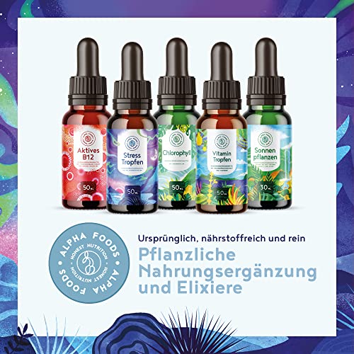 Stresstropfen - natürliches Stress-Management & Entspannung mit Myo-Inositol, Zink, adaptogenen Kräutern, Wurzeln & Pilzen wie Schisandra, Rosenwurz, Reishi, Ashwagandha & B12 - vegan - 50ml Tropfen