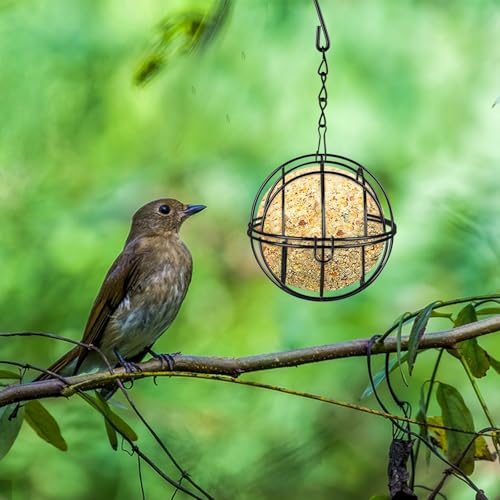 4 Pièces Mangeoire Oiseaux Exterieur à Suspendre, Mangeoire pour Oiseaux, Bird Feeder avec Crochets en Forme de S, Distributeur Boules de Graisse Oiseaux, Mangeoires pour Oiseaux Sauvages (Noir) – Image 6