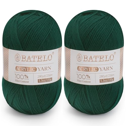 Image of Crochet Acrylic Yarn 560 Yards, 2 Pack 150g /5.3oz Each, 3 Light Worsted Yarn for Crocheting & Knitting (Dark Green)