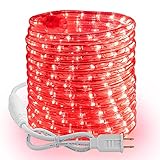 Brizled Rope Lights...image