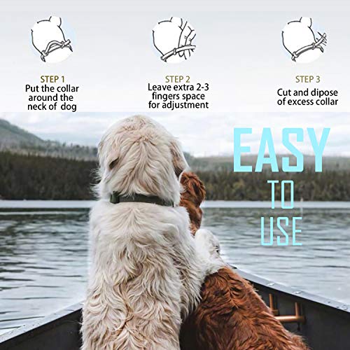 Flea and Tick Collar for Small Dog, Repels Fleas & Ticks, Natural Essential Oils, Allergy Prevention, 8-Month Protection… - Image 7