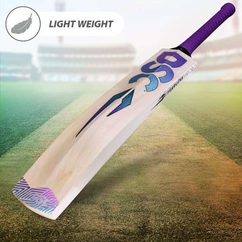 Image of DSC RS Exclusiv Kashmir Willow Cricket Bat