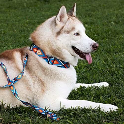 Collardirect Martingale Dog Collar Nylon Safety Training Tribal Pattern Adjustable Heavy Duty Collars For Dogs Medium Large (Pattern 3, M, Neck Size 12"-17") #TOP3