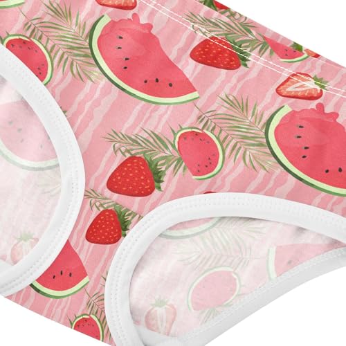 Watermelon Strawberry Toddler Girls's Underwear 2T 202c18654