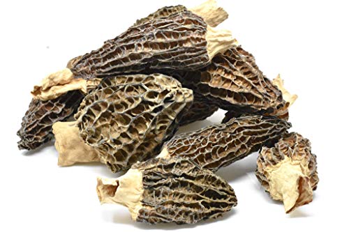 Slofoodgroup Dried Morel Mushrooms (Morchella Conica) Gourmet Morel Mushrooms (1Oz Morels) #TOP3
