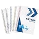 RAYSON Draht Spiralbindungsspulen, 3:1 Teilung, 40 Blatt, 7,9 mm, Mehrfarbig, 100 Stück