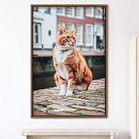 Framed Canvas Wall Art Cat Animals Cat Chic Multicolor Photography Urban - 16x24 inches