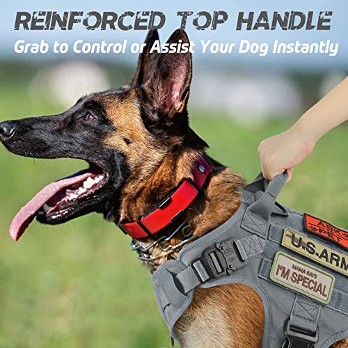 Rabbitgoo Tactical Dog Harness For Large Dogs, Heavy Duty Dog Harness With Handle, No-Pull Service Dog Vest Large Breed, Adjustable Military Dog Vest Harness For Training Hunting Walking, Grey, Xl #TOP5
