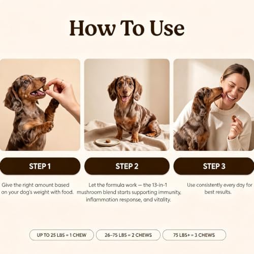Rejuvapaw Mushroom Chews,Mushroom Chews for Dogs,30 Grains