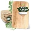 BIOZOYG Palm Leaf Plates 200 Pack 10 x 6 Inch - Disposable Palm Leaf Tableware Rectangular Compostable - Sustainable Disposable Party Tableware for Weddings and Events