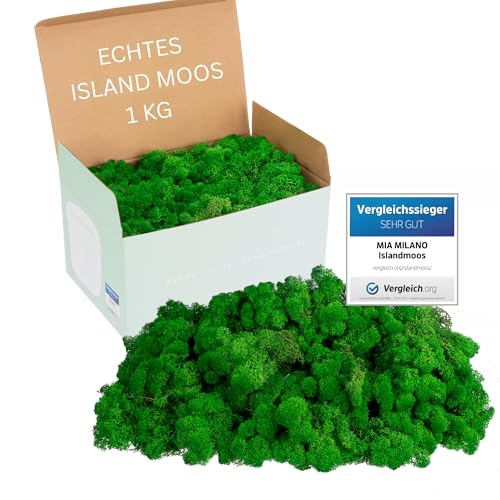 Mia Milano Islandmoos naturgrün konserviert | Moos Deko zum Basteln | 1kg...