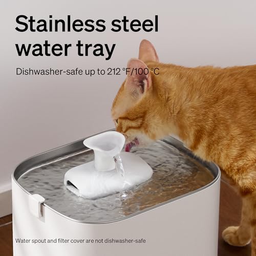 Image of PETLIBRO Upgrade Cat Water Fountain + 4 Packs Genuine Cat Fountain Filter Replacement, Dockstream 2 Smart App Monitoring 5G WiFi Auto Cat Fountain Stainless Steel Tray for Drinking, 3L /101oz