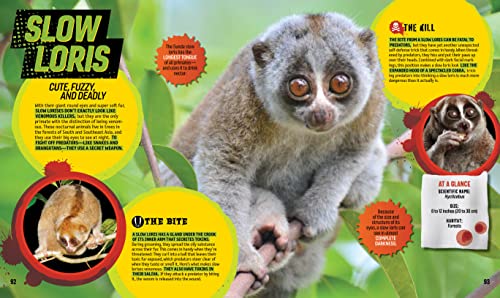 Bite, Sting, Kill: The Incredible Science of Toxins, Venom, Fangs, and Stingers (National Geographic Kids) - Image 6